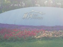-坝河休闲公园