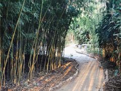 -竹泉村旅游度假区