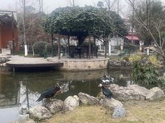 -洪湖家庭农场·团建·露营·会议