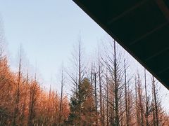 -山王坪喀斯特国家生态公园