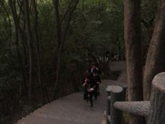 -紫金山山顶公园
