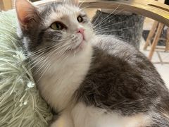 -平行世界·猫咖(首经贸店)