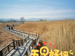 -野鸭湖国家湿地公园