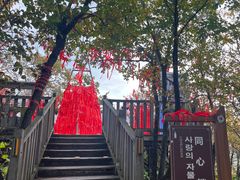 -帽儿山国家森林公园