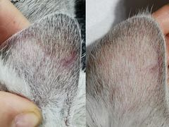 -喵汪宠物生活馆(涞坊路店)