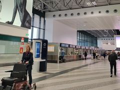 -米兰马尔彭萨国际机场