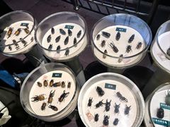 -陕西自然博物馆