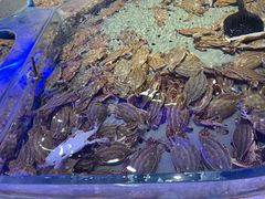 -澜悦港海鲜体验主题餐厅