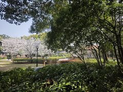 -徐家汇源景区-衡山公园