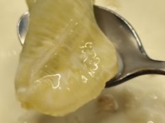 -凤城·食都
