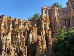 -元谋土林景区(物茂土林)