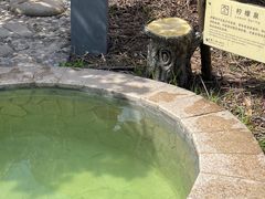-汤山一号温泉度假区
