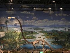 -自贡恐龙博物馆