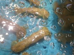 -蓝珊瑚蒸汽海鲜餐厅(龙奥店)