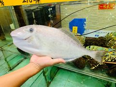 -寻味顺德·南记酒家·传统顺德菜·鱼生(广源路店)