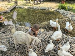 -HERRE·FARM 赫尔露营农场·团建聚会包场