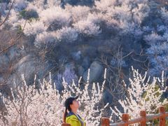 -白水寺森林公园