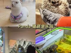-阳光世纪奥特莱斯店