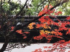 -汇龙潭