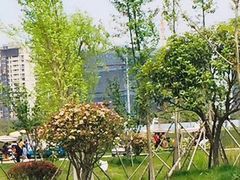 -南通鲜花小镇