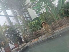 -悦隆庄温泉度假酒店