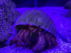 -太平洋海底世界