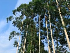 -云里小坐·小院里·团建·宴请·下午茶(三圣乡店)