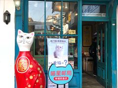 -猫咪博物馆(顶澳仔猫街店)