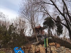 -黄村公园