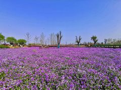 -汉长安城未央宫国家考古遗址公园