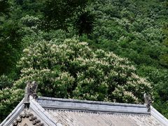 -潭柘寺景区