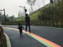 -黄龙溪欢乐田园