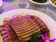 -南宫温泉水世界