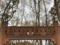 -灵谷景区