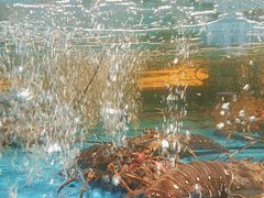 -阿伟海鲜楼·福建菜(延寿店)