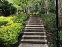 -厦门国家会计学院