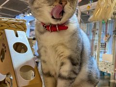 -小时光咖啡馆(开森度假森林店)