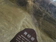 -五龙城郊森林公园