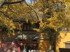-灵谷景区