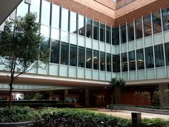 -香港大学