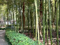-兰亭风景区