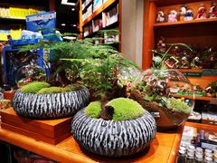 -西西弗书店&矢量咖啡(来福士广场店)