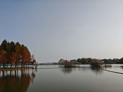 -贡湖湾湿地公园