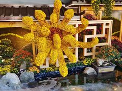-杭州植物园