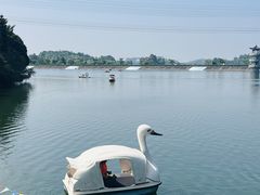 -水濂山森林公园