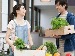-大自然农场蔬菜草莓采摘园