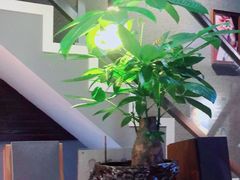 -欣羽摄影工作室(小河缤纷广场店)