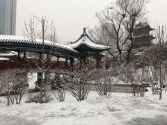 -迎泽公园