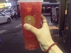 -树夏(建设路店)