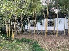 -杭州植物园